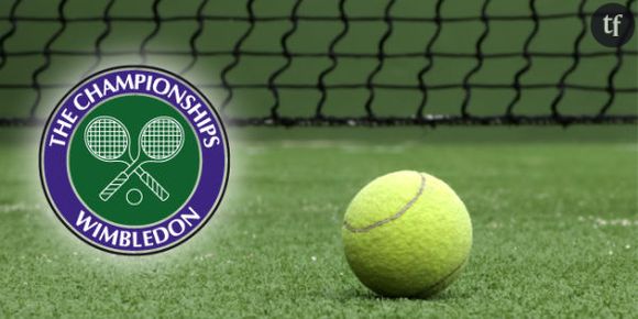 Querrey vs Tsonga (Wimbledon 2014) : heure, chaîne et streaming du match (25 juin)