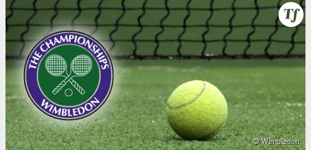 Querrey vs Tsonga (Wimbledon 2014) : heure, chaîne et streaming du match (25 juin)