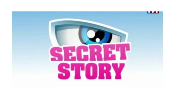 " Secret Story 5 " : Ayem, Zarko et Zelko, Morgan, quels sont leurs secrets ?