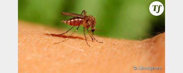 Santé : combattre le paludisme avec des chaussettes sales