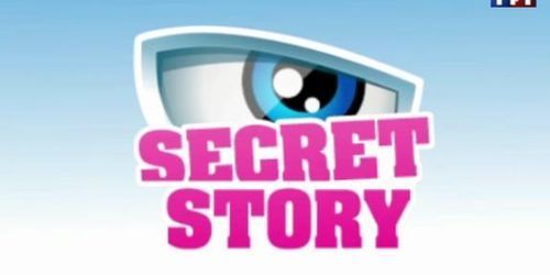« Secret Story » : secrets bidons, quotas ethniques, la réponse de TF1