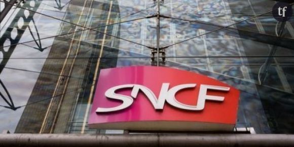 SNCF / TGV : info trafic – plus aucun train en gare de  Paris-Austerlitz