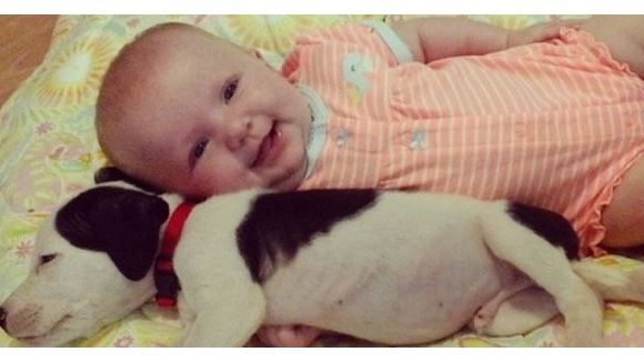 Un chiot qui dort avec un bébé : l'adorable duo qui fait fondre Instagram