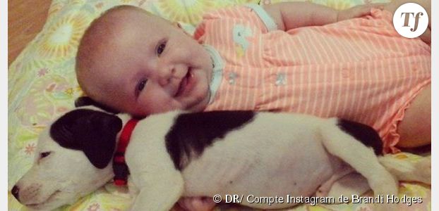 Un chiot qui dort avec un bébé : l'adorable duo qui fait fondre Instagram