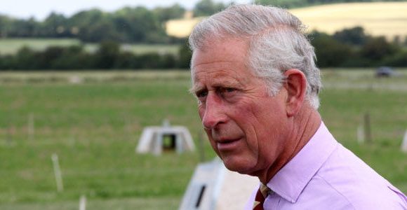 On Duty of the Queen : le livre qui rend le prince Charles furieux