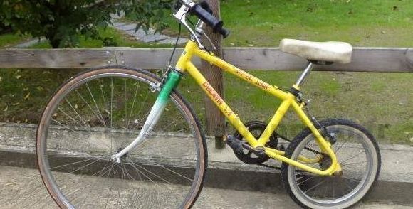 LeBonCoin : une annonce amusante pour un vélo d’enfant