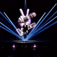 The Voice Kids : des enfants à croquer sur TF1 Replay