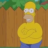 Ice Bucket Challenge : Homer Simpson tente le défi - en vidéo