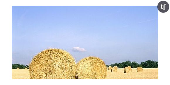 Sécheresse : les 56 tracteurs de retour dans l’Ain avec 1000 tonnes de paille