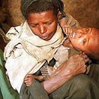 Famine en Somalie : Nouvelle réunion de crise 