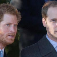 William et Harry rendent hommage à Diana