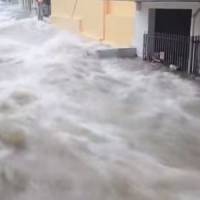 Les vidéos impressionnantes des inondations en Grèce