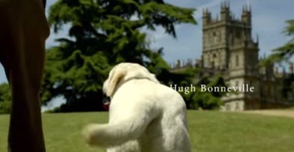 Downton Abbey : pourquoi la chienne Isis pourrait disparaître