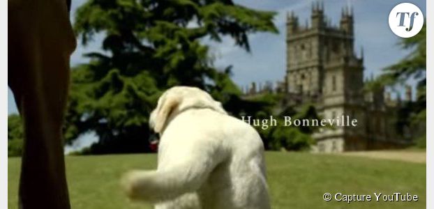 Downton Abbey : pourquoi la chienne Isis pourrait disparaître