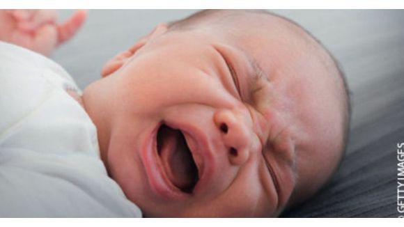 Baby Boom 2014 : fortes émotions et adorables bébés sur TF1 Replay
