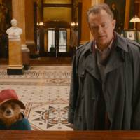 De Baloo à Paddington, les ours, ces figures mythiques du cinéma