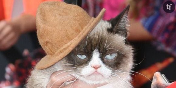 Grumpy Cat : le salaire mirobolant de la star des lol cats