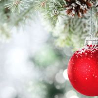 Noël 2014 : bons plans pour des sapins pas chers (Ikea, Truffaut, Jardiland, Botanic…)