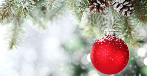 Noël 2014 : bons plans pour des sapins pas chers (Ikea, Truffaut, Jardiland, Botanic…)