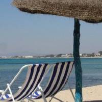 La Tunisie ne compte plus ses touristes