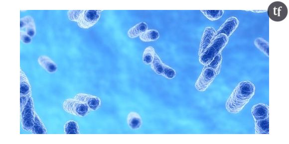 La bactérie klebsiella pneumoniae fait des morts