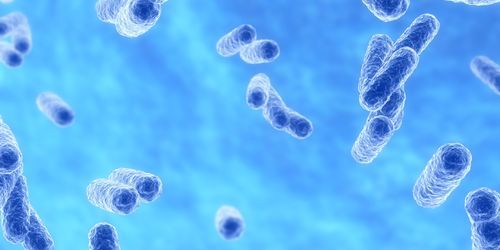 La bactérie klebsiella pneumoniae fait des morts