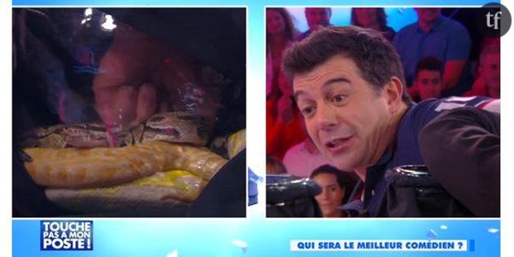 TPMP : Stéphane Plaza effrayé par des serpents – vidéo