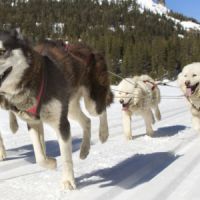 Sports d'hiver : 8 alternatives au ski pour s'éclater à la montagne