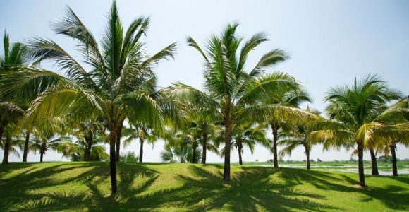 Villa des cœurs brisés : les premières infos croustillantes