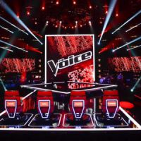 The Voice 2015 : le bilan des dernières auditions à l’aveugle (vidéos)