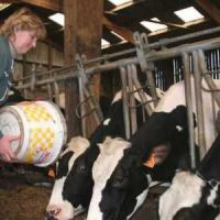 Agriculture : les femmes s'imposent dans le pré