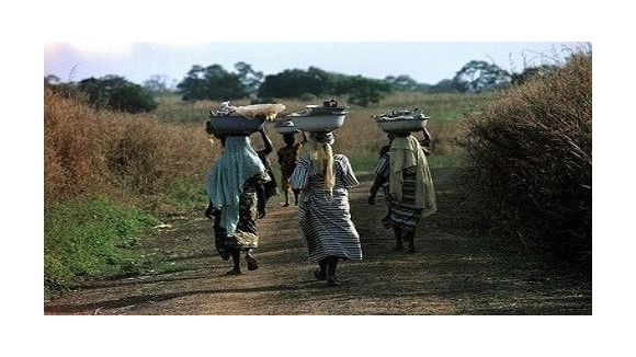 Administratrice, logisticienne dans l'humanitaire