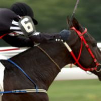 Un métier atypique : jockey !