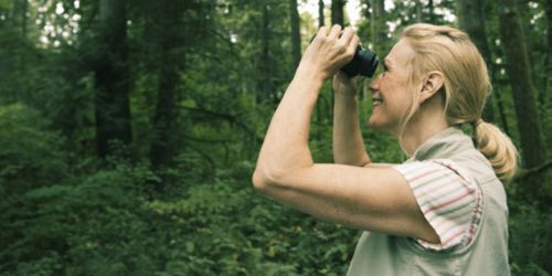 Chargé de mission développement durable : un métier en plein essor 