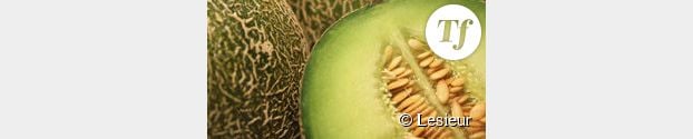 De Cantaloup ou de Cavaillon, c’est la saison du Melon !