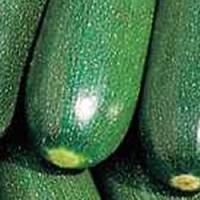 Recette concours : Tian de courgettes à la marseillaise