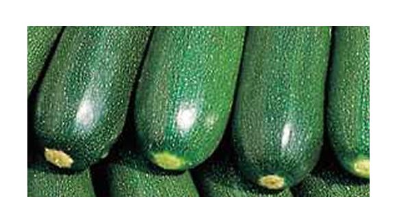 Recette concours : Tian de courgettes à la marseillaise