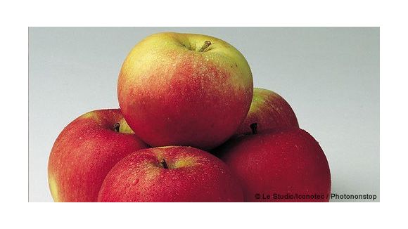 Concours chocolat : les sablés pomme-chocolat