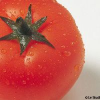 Tourin à la tomate