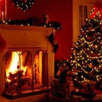 Comment choisir son sapin de Noël ?