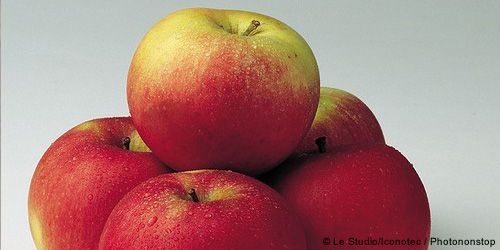 Tarte aux pommes et aux fruits rouges