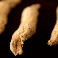 Quelles sont les vertus de la racine ginseng ?