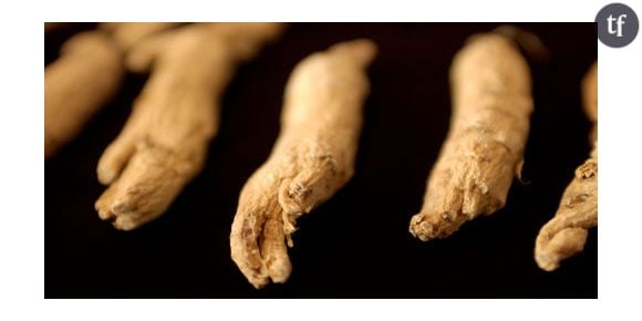 Quelles sont les vertus de la racine ginseng ?