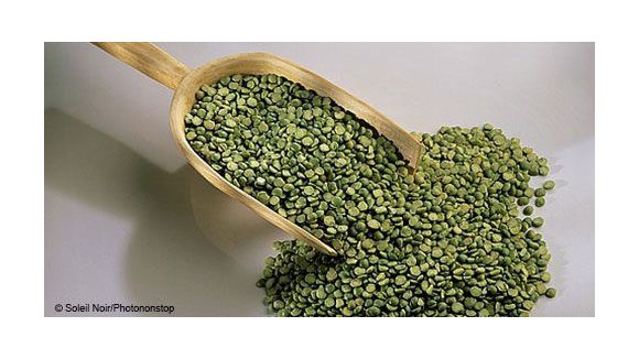 Purée de pois cassés