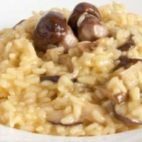 Risotto à la truffe blanche