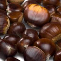 Moelleux aux marrons et cœur de marrons glacés