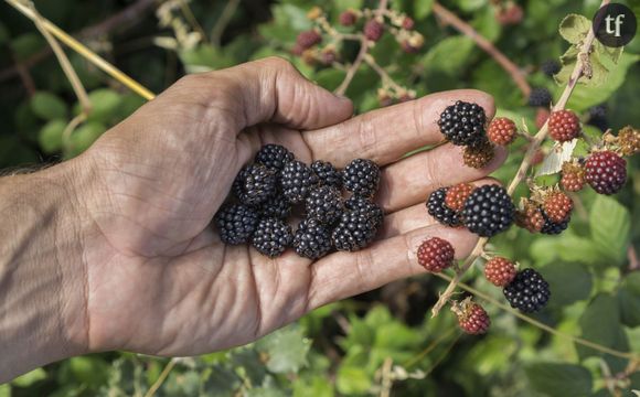 Au Moyen-Orient ou en Afrique, n'utilisez pas votre main gauche pour manger