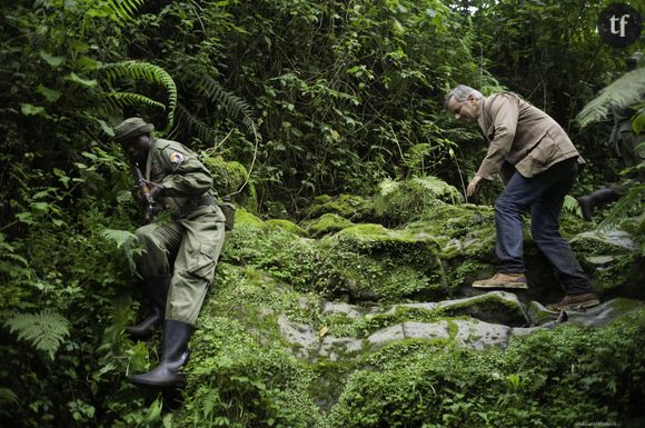 Bernard de la Villardière à la découverte des grands singes