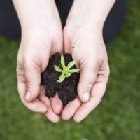 14 gestes green pour lutter contre le réchauffement climatique à son petit niveau