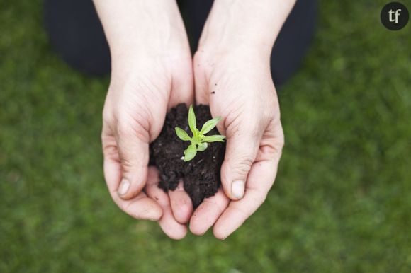 Comment lutter contre le réchauffement climatique ?